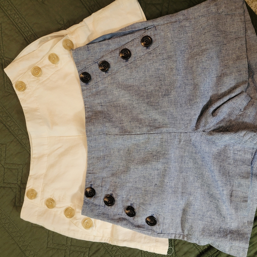 Ann Taylor Blue and White Shorts Size 4